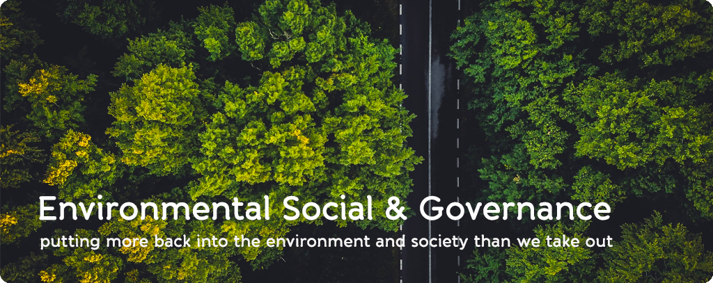 ESG - environmental, social and governance