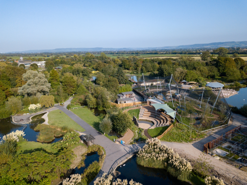 WWT London Wetlands Centre visitor attraction — Rope Bridge