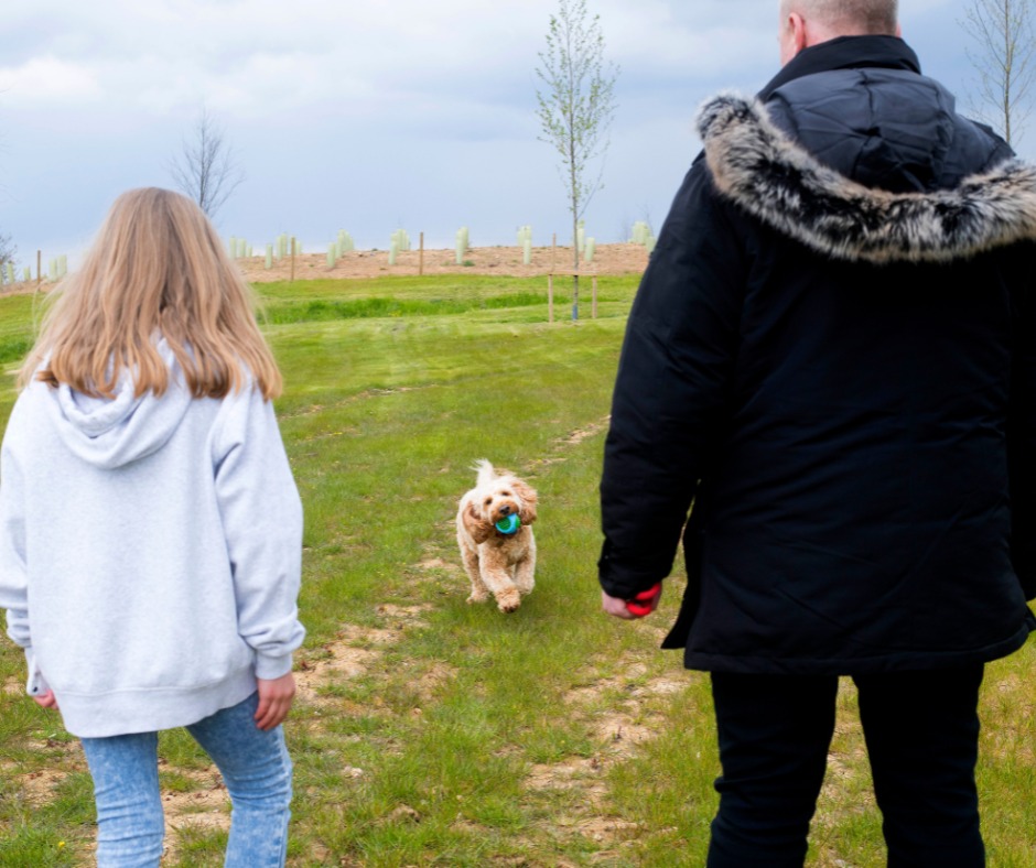 walking dog at Rugby services