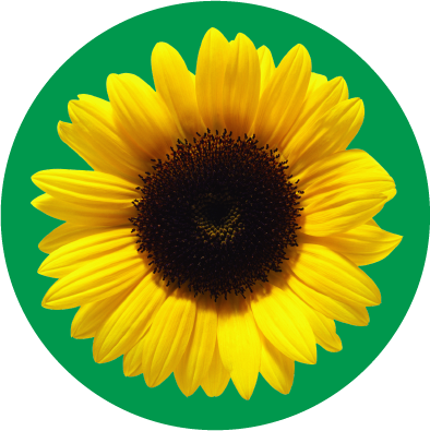 Hidden Disibilities Sunflower